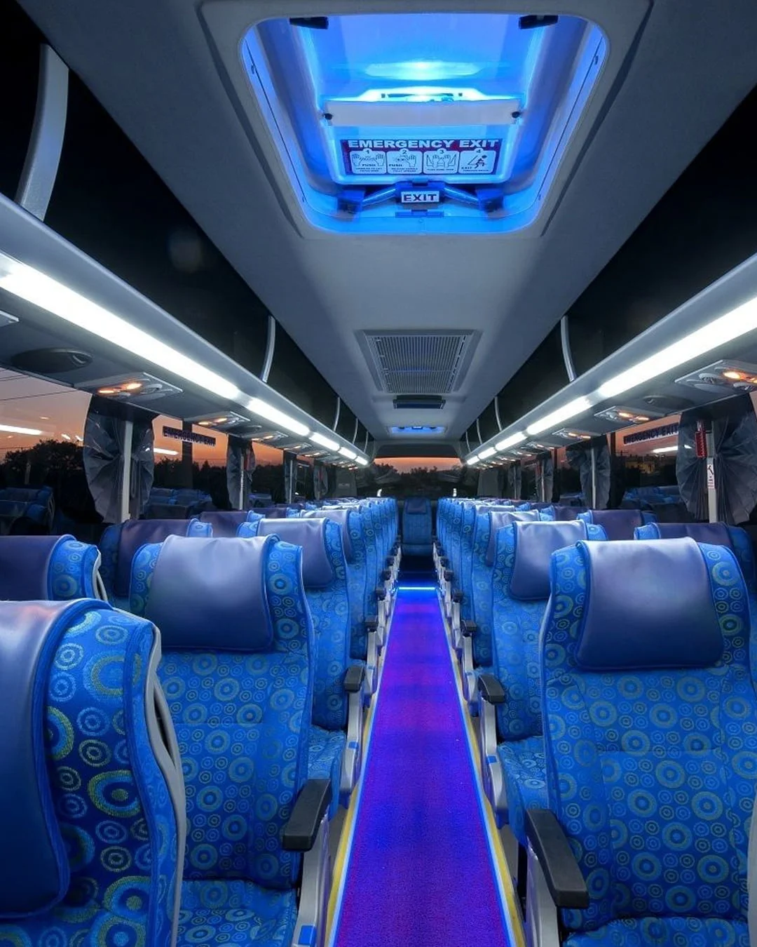 bus phto